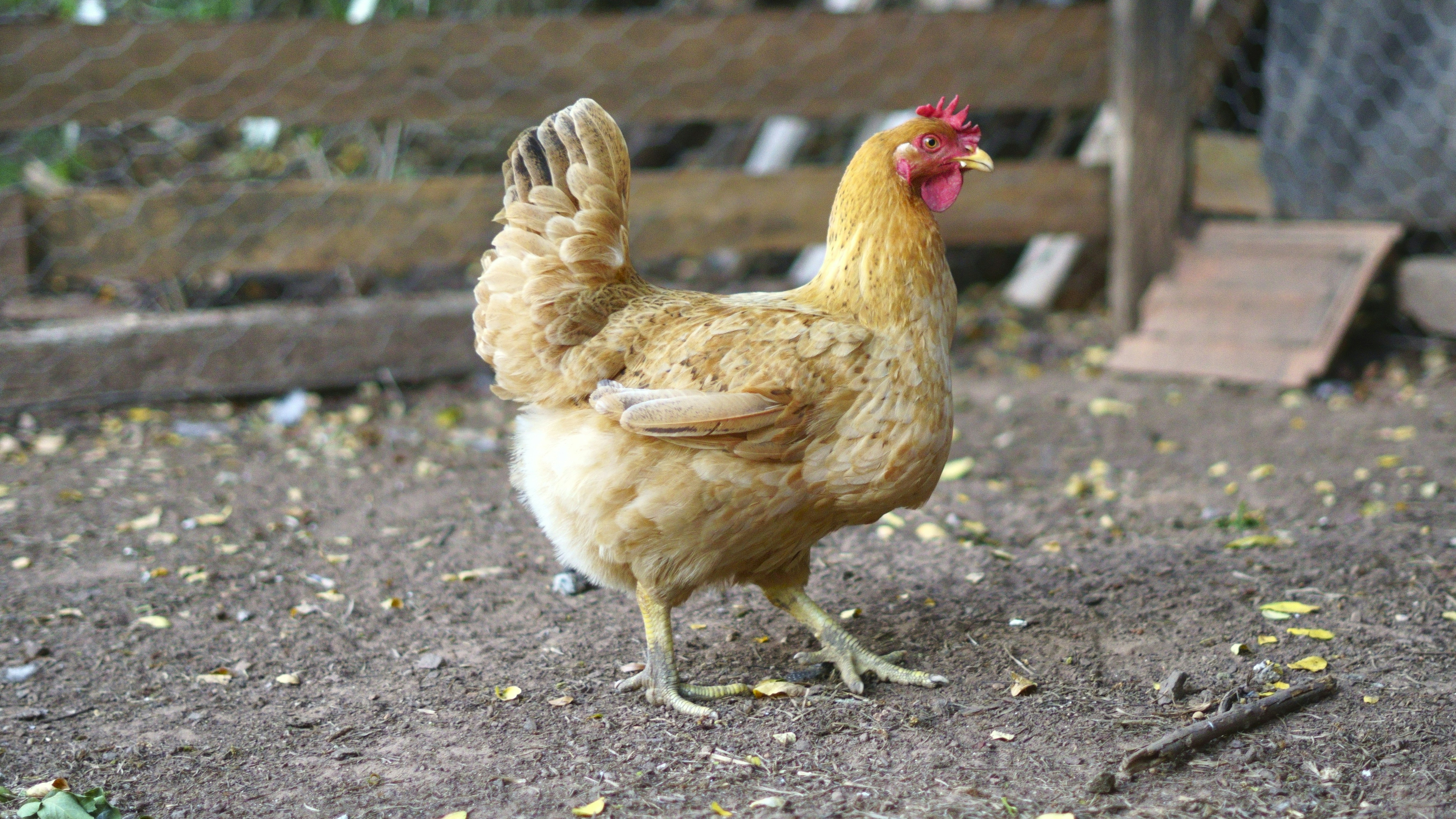 charles-betito-filho-w3VToE5toZE-unsplash